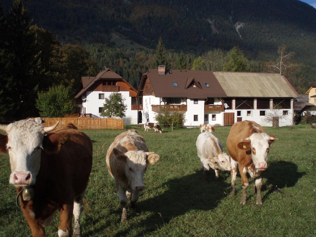 Villa Farm Kosir à Kranjska Gora Extérieur photo
