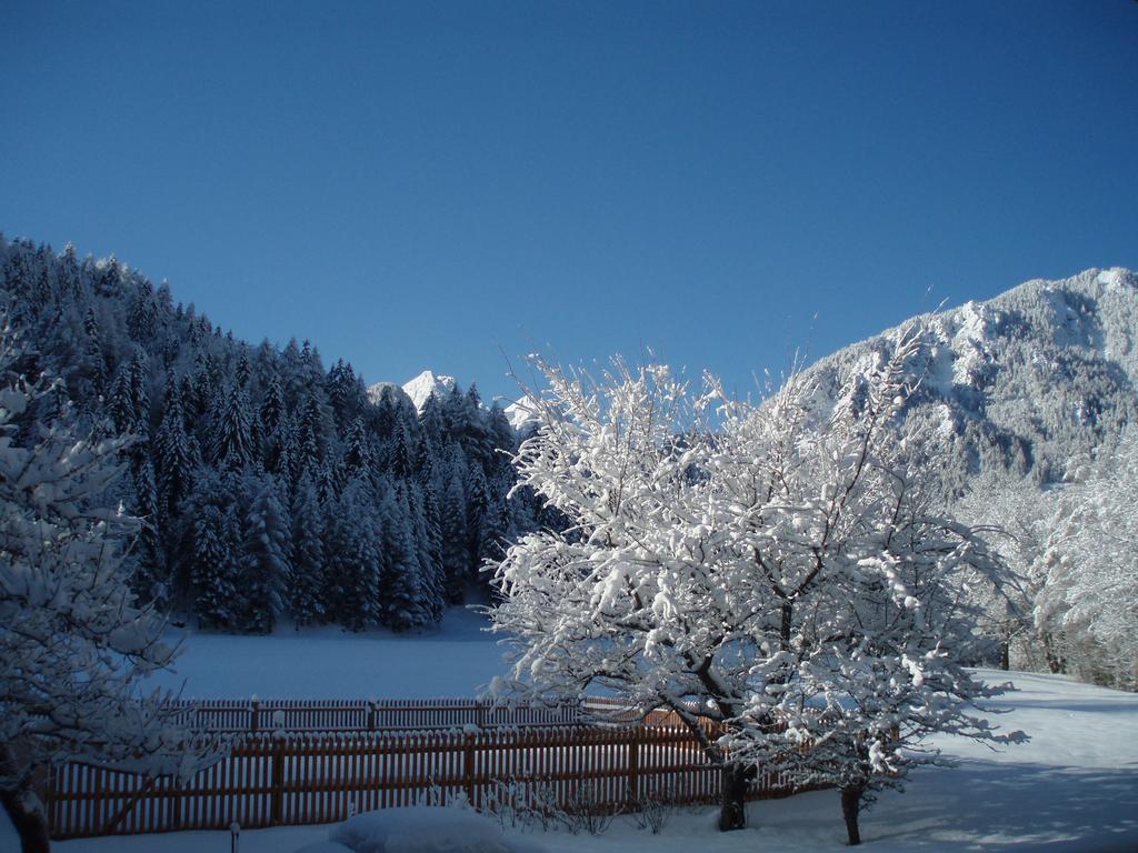 Villa Farm Kosir à Kranjska Gora Extérieur photo