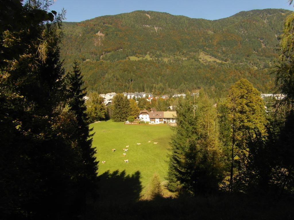 Villa Farm Kosir à Kranjska Gora Extérieur photo