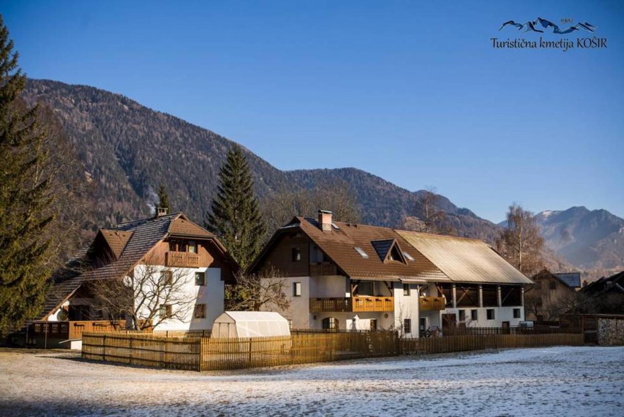 Villa Farm Kosir à Kranjska Gora Extérieur photo